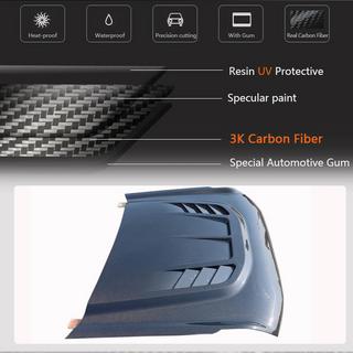 Hood (Carbon) photo 3