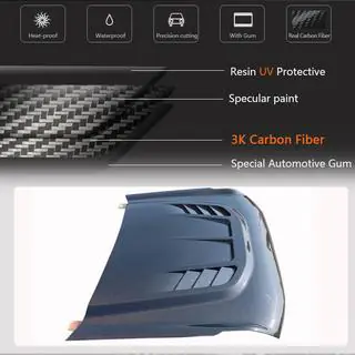 Hood (Carbon) photo 3