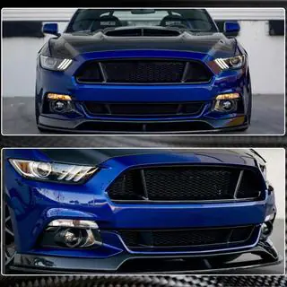 Front Grille (2015-2017, Carbon) Ford Mustang 2015-2023 photo 3