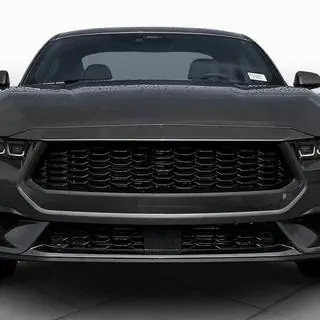 Front Grille (for S650, Carbon) Ford Mustang 2024- photo 2