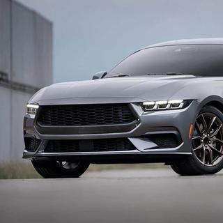 Front Grille (for S650, Carbon) Ford Mustang 2024- photo 3