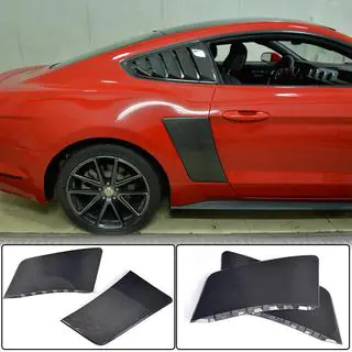 Rear Fender Covers (2015-2017, Carbon) photo 1