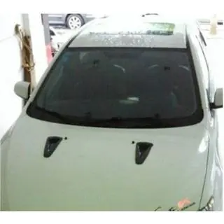 Hood Covers (2012-2015, Carbon) Nissan GT-R 2008-2025 photo 4