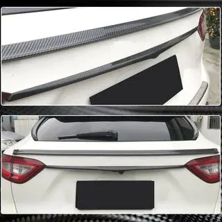 Carbon License Plate Trim photo 4