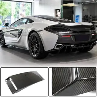Trunk Lid Cover (Carbon) photo 1