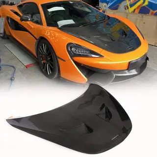 Hood (Carbon) photo 1