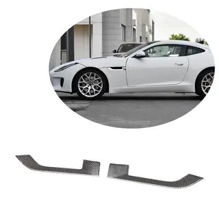 Carbon Front Fender Cover (2013-2016) photo 1