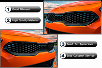 Kia Stinger 2017-2023 Front Grille Surround (Carbon) photo 5