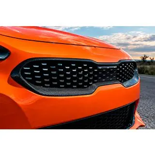 Front Grille Surround (Carbon) photo 1