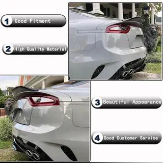 Spoiler V2 (Carbon) Kia Stinger 2017-2023 photo 3