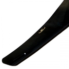Lexus RX 2003-2009 Hood Deflector (HIC) photo 2
