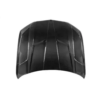 Carbon Hood (G06/F96) photo 4