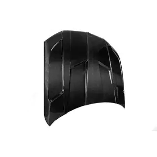 Carbon Hood (G06/F96) photo 3