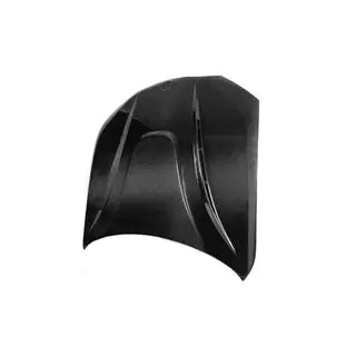 Carbon Hood V1 (G06/F96) photo 4