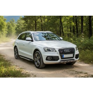 Side Steps Duru (2 pcs, Aluminum) Audi Q5 2008-2017 photo 1