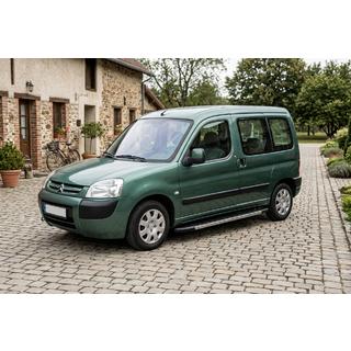 Side Steps Duru (2 pcs, Aluminum) Citroen Berlingo 1996-2008 photo 1