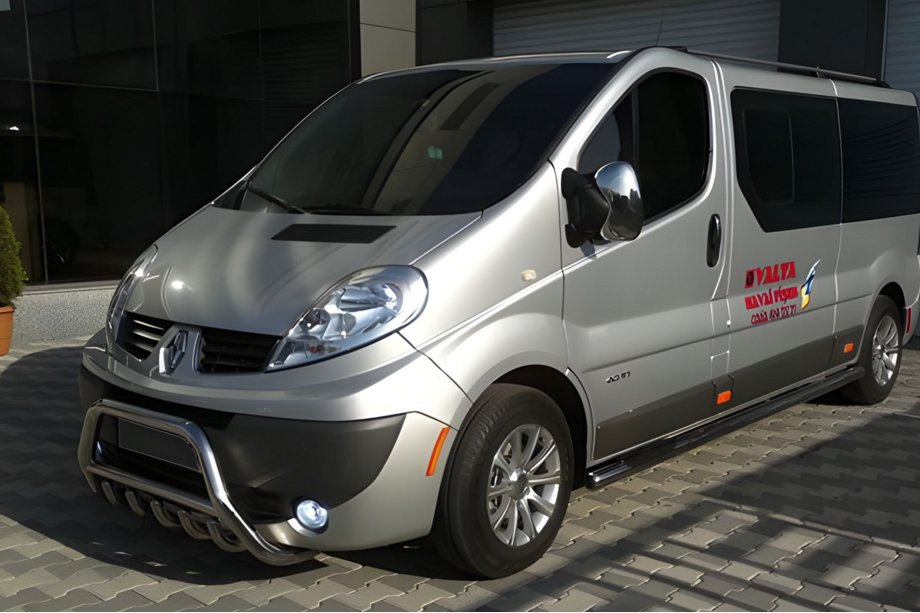 Renault Trafic 2001–2015 Bull Bar WT003-4 (Stainless Steel) Photo 3