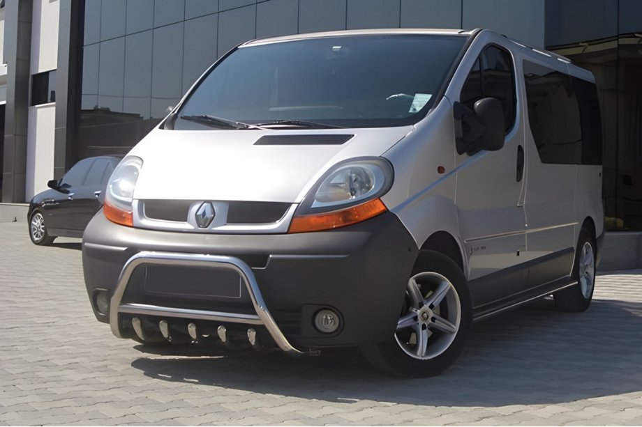 Renault Trafic 2001–2015 Bull Bar WT003-4 (Stainless Steel) Photo 2