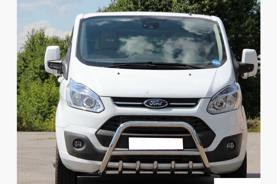 Ford Custom 2013-2022 Bull Bar WT003 (Stainless Steel) Image