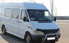 Mercedes Sprinter W901/902/903/904/905 1995–2006 Bull Bar WT003 (Stainless Steel) photo 3