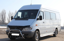 Mercedes Sprinter W901/902/903/904/905 1995–2006 Bull Bar WT003 (Stainless Steel) photo 4