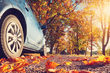 Preparing your car for fall: a necessity or a waste of time? photo 1