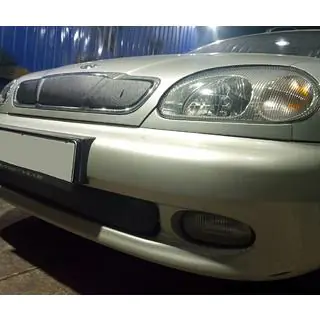 Winter grille cover (upper) photo 4