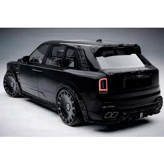 MNSR Carbon Body Kit (for 2024+) photo 3