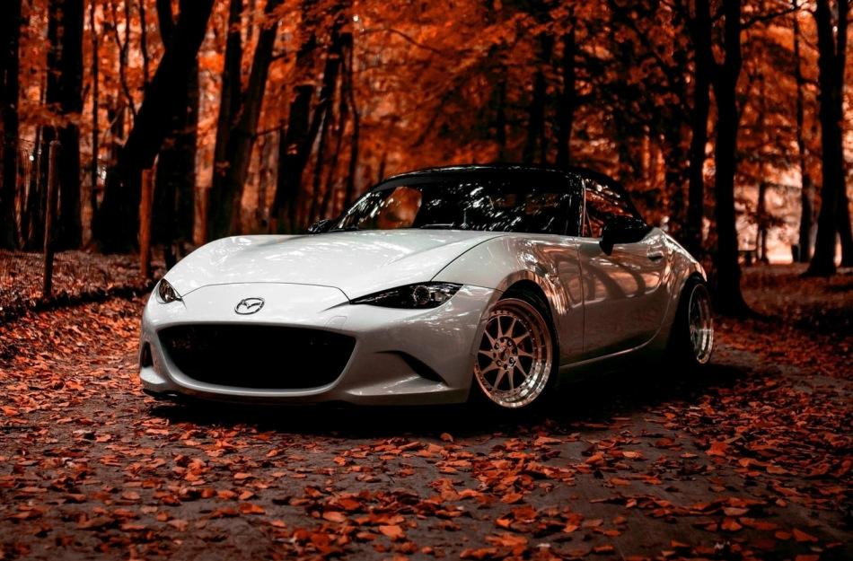Autumn car care: 5 important rules