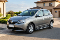 Renault Sandero 2013-2022 Side Steps RedLine V1 (2 pcs, Aluminum) photo 1