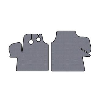 Rubber floor mats Carsuit (2002-2006, gray) photo 1