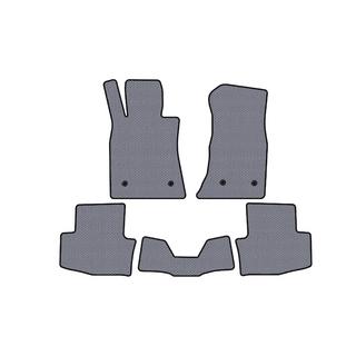 Rubber Floor Mats Carsuit (SD, Gray) photo 1