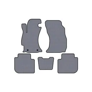 Rubber floor mats Carsuit (2013-2017, gray) photo 1