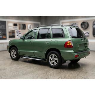 Side Steps Line (2 pcs, Aluminum) Hyundai Santa Fe 1 2000-2006 photo 1