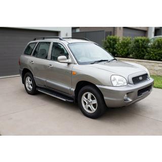 Side Steps Duru (2 pcs, Aluminum) Hyundai Santa Fe 1 2000-2006 photo 1