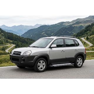 Side Steps Rainbow (2 pcs, Aluminum) Hyundai Tucson JM 2004- photo 1