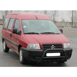 Bull Bar WT003 Black Stainless Steel Peugeot Expert 1995-2007 photo 4