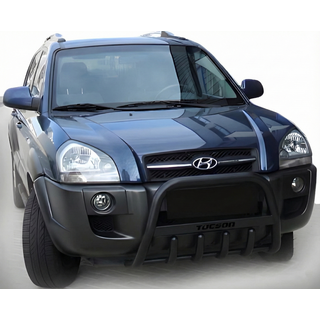Bull Bar WT004 Black (Stainless Steel) photo 3