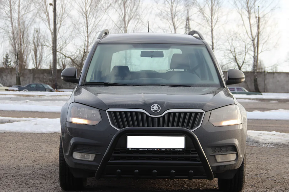 Skoda Yeti 2009-2017 Bull Bar WT003 Black Stainless Steel Photo 3