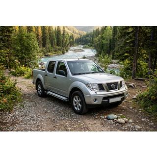 Side Steps Rainbow (2 pcs, Aluminum) photo 1