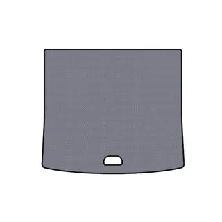 Rubber Trunk Mat Carsuit (Gray) photo 1