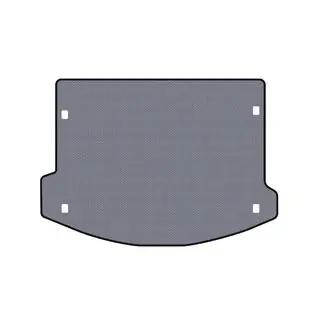 Rubber Trunk Mat Carsuit (Gray) photo 1