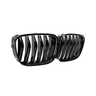 Kidneys M-Look (Gloss Black) photo 4