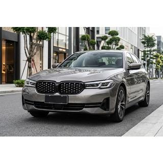 Diamond Silver Grille Inserts (2021-2023) BMW 5 Series G30/G31 2017–2023 photo 1