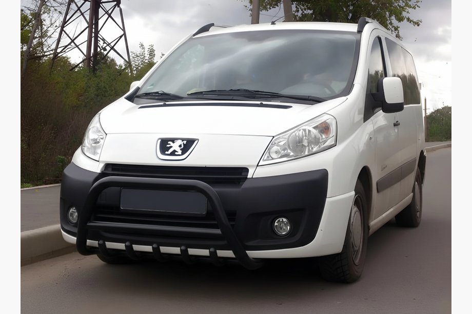Citroen Jumpy 2007–2017 Bull Bar WT003 Black Stainless Steel Image