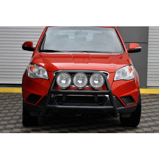 Bull Bar WT018 Black (Stainless Steel) photo 3