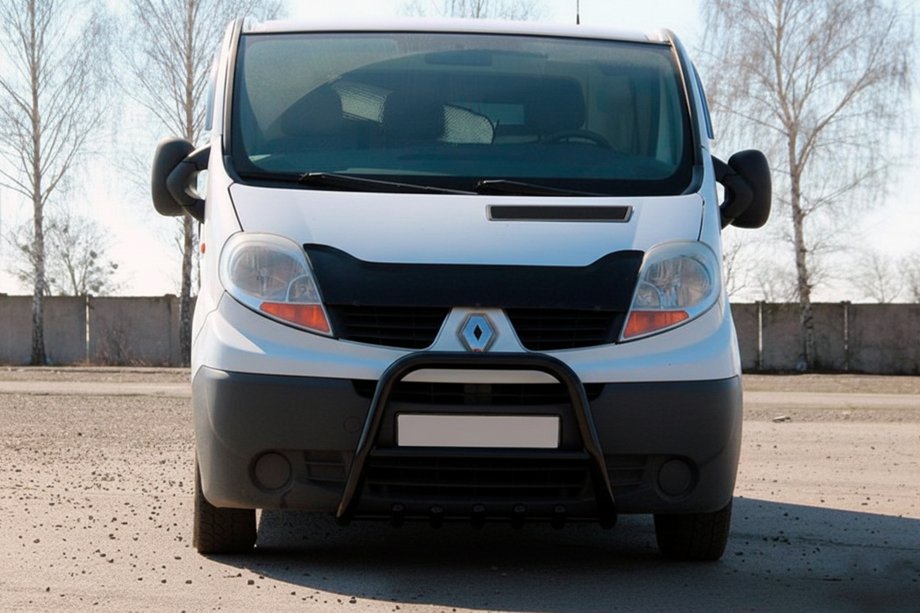 Nissan Primastar 2002-2014 Bull Bar QT-Spec Black (Stainless Steel) Photo 1