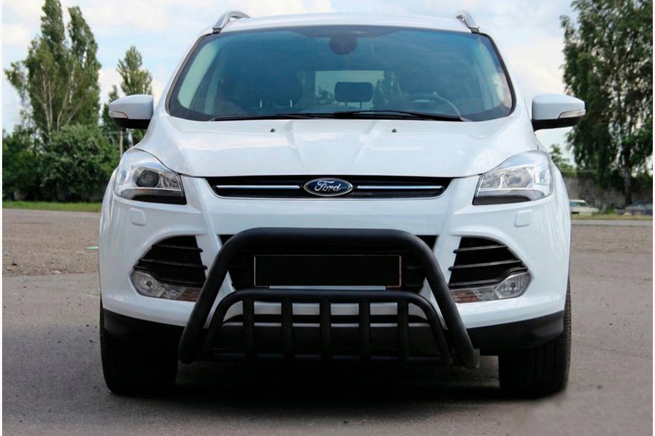 Ford Kuga/Escape 2013-2019 Bull Bar WT002 Black (Stainless Steel) Photo 1