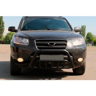 Bull Bar WT002 Black (Stainless Steel) photo 2