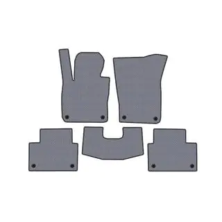 Rubber floor mats Carsuit (SW, Grey) photo 1